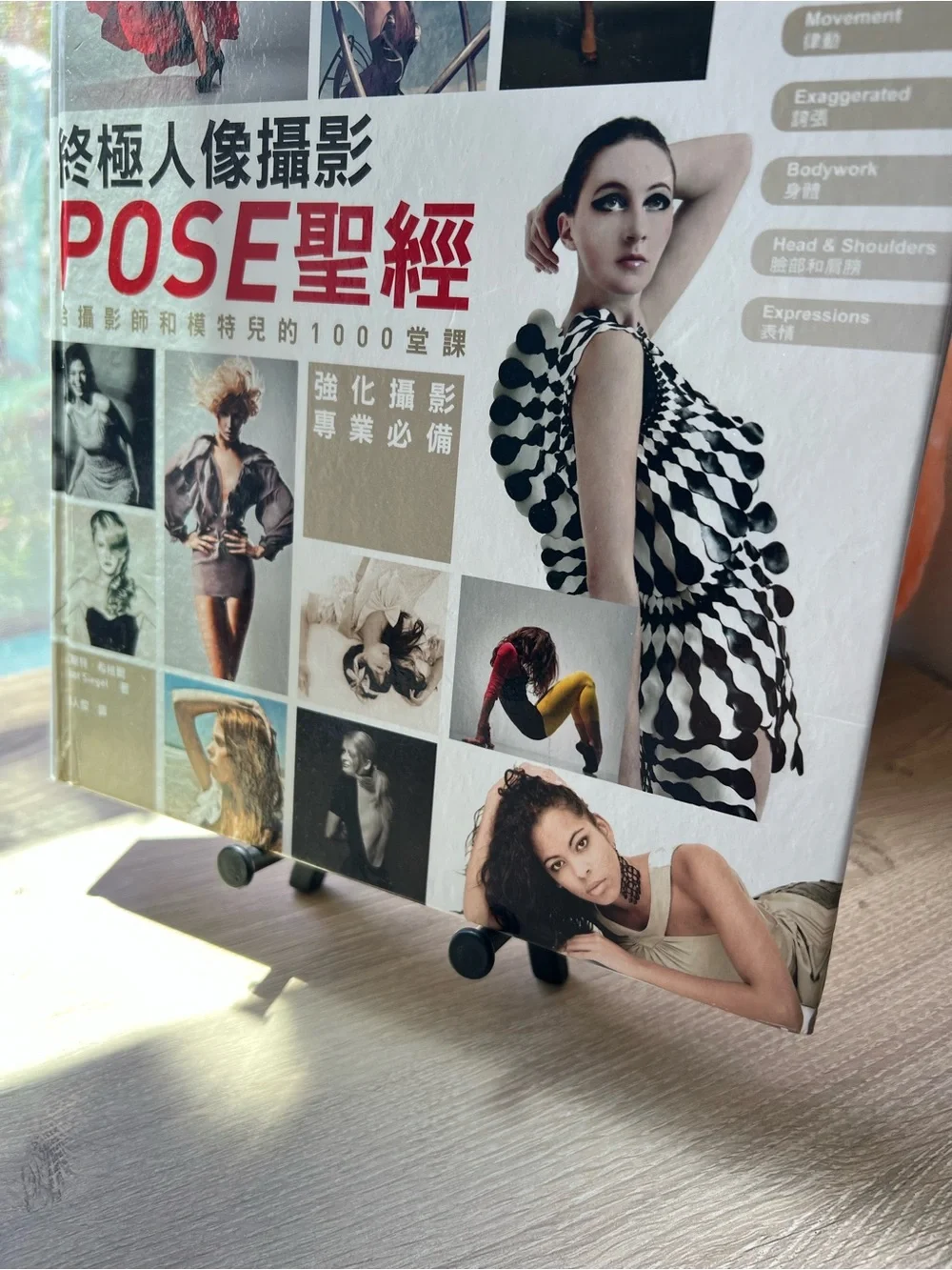 Photographing Models 1000 Poses Eliot Siegel Chinese Edition Photography Book